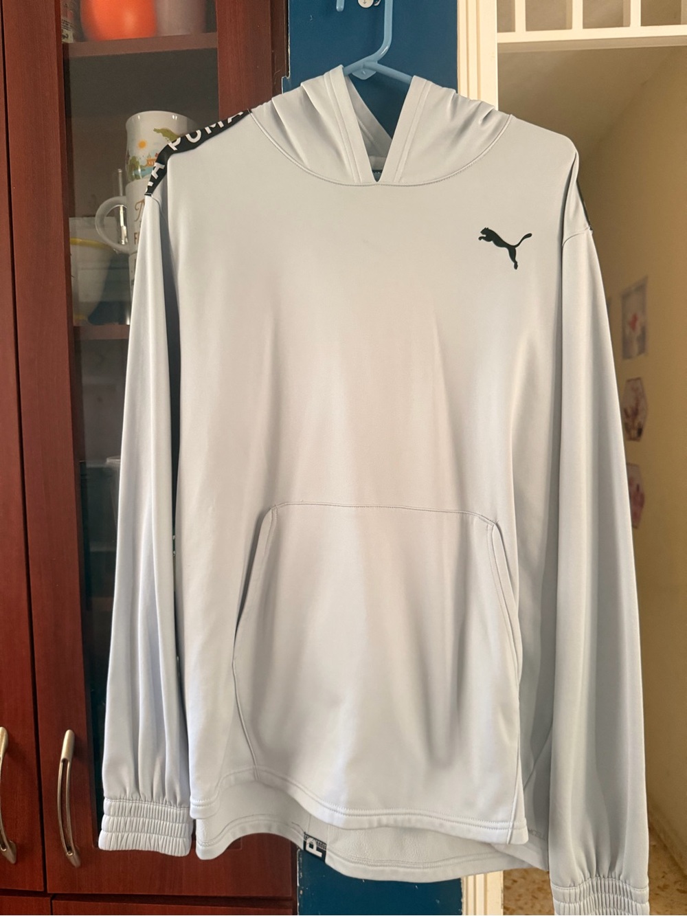 Puma Light Gray Men’s Hooded Pullover with Black Logo
